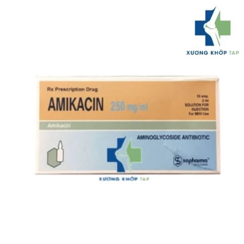 Amikacin 250mg/ml